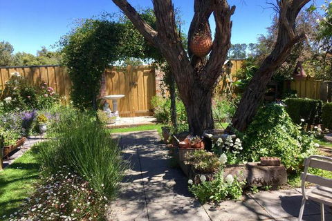 Aggies Bed & Breakfast - Kingaroy Accommodation 5