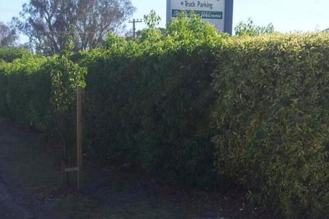 Glenndale Park Motel - Kingaroy Accommodation 4