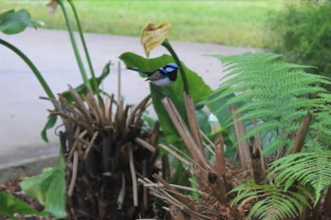 Aristocrat Waurnvale Motel - Kingaroy Accommodation 6