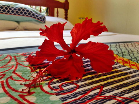 Cow Bay Homestay B & B - Kingaroy Accommodation 5