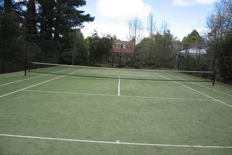 Wimbeldon - Kingaroy Accommodation 6