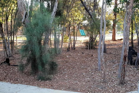 Frasers Landing Lifestyle - Kingaroy Accommodation 4