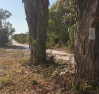 COONARR BEACH  BUNDABERG CAMPING - Kingaroy Accommodation