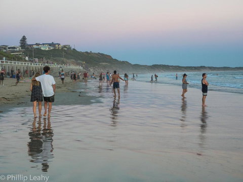 Alices Palace 2 Minute Walk To Lifeguard Patrolled Surf Beach - Kingaroy Accommodation 4