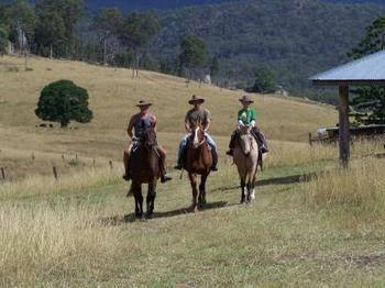 Lillydale Farmstay - Kingaroy Accommodation 0