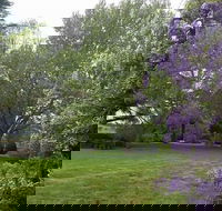 Petersons Armidale Winery  Guesthouse - Kingaroy Accommodation