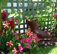 Albany Bayview Lodge YHA - Kingaroy Accommodation