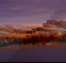 Wombat Hills Cottages - Kingaroy Accommodation