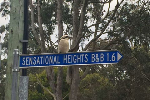 Sensational Heights Bed & Breakfast - Kingaroy Accommodation 2