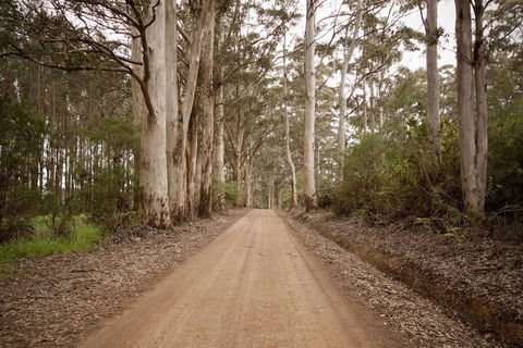 Sensational Heights Bed & Breakfast - Kingaroy Accommodation 1