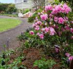 Anabels of Scottsdale - Kingaroy Accommodation