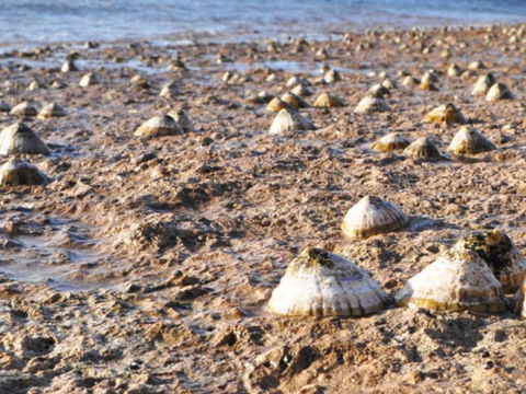 Port Lincoln Holiday Apartments - Kingaroy Accommodation 5