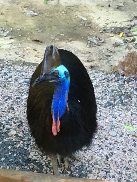 Licuala Lodge - Kingaroy Accommodation 0