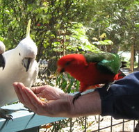 Lorne Bush House Cottages  Eco Retreats - Kingaroy Accommodation