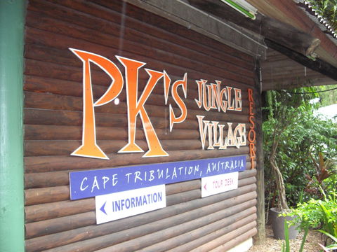 PKs Jungle Village - Hostel - Kingaroy Accommodation 0