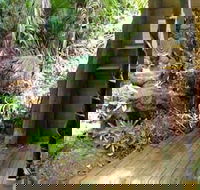 Rainforest Hideaway - Kingaroy Accommodation