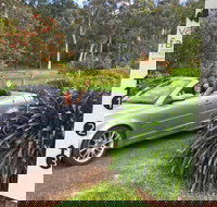 Valley Farm Vineyard Cottages - Kingaroy Accommodation