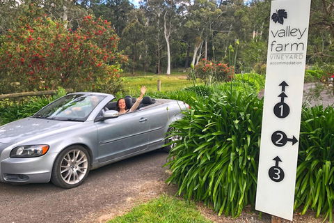 Valley Farm Vineyard Cottages - Kingaroy Accommodation 0