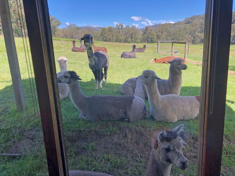 Valley Farm Vineyard Cottages - Kingaroy Accommodation 2