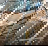 Platinum Suites Fremantle - Kingaroy Accommodation