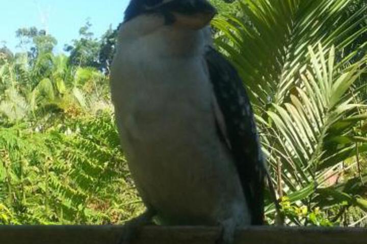 Moonee Beach NSW Kingaroy Accommodation