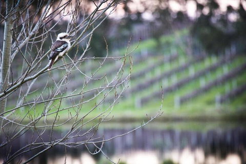 Bettenays Margaret River - Kingaroy Accommodation 4