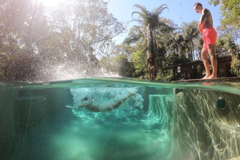 Samurai Beach Bungalows Port Stephens YHA - Kingaroy Accommodation 3