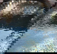 Town  Country Motel - Kingaroy Accommodation