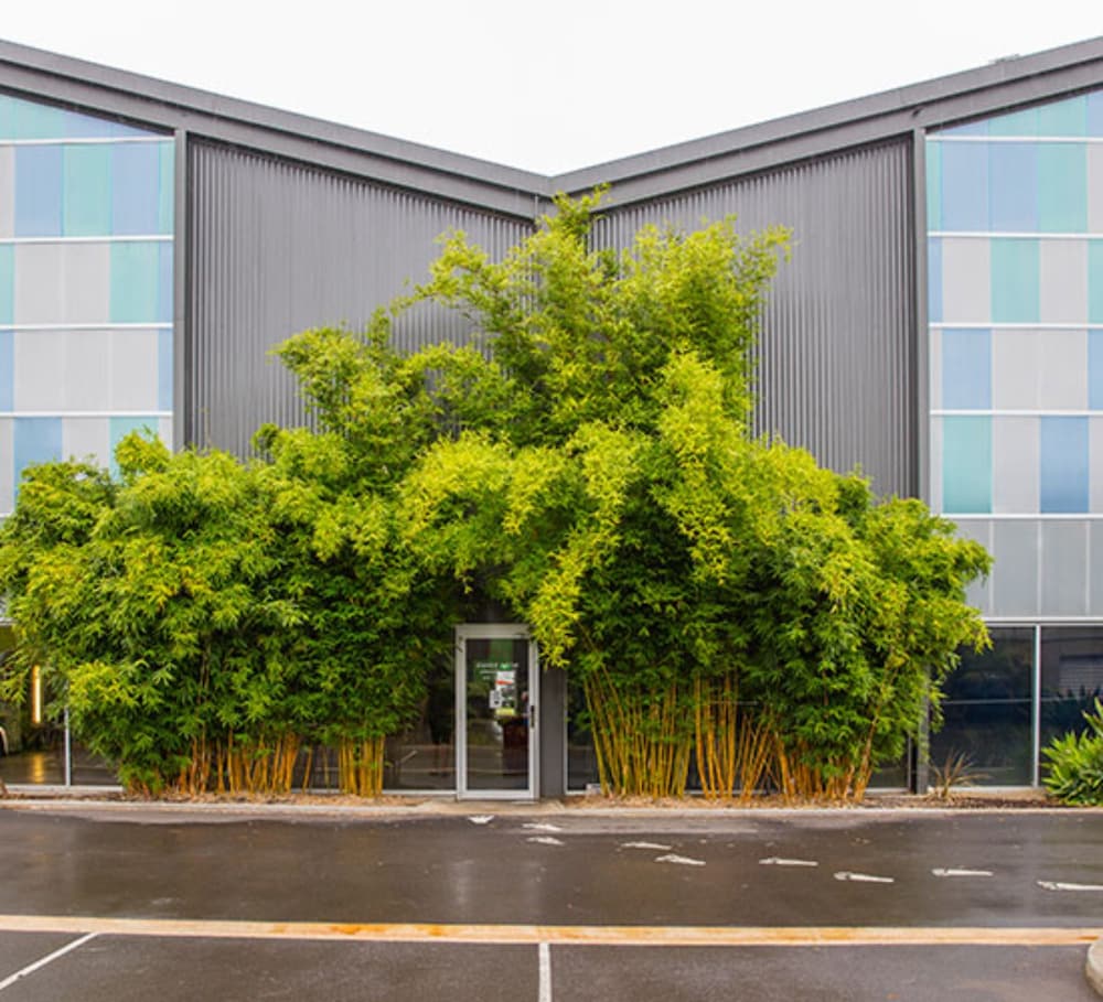 Flinders University SA Kingaroy Accommodation