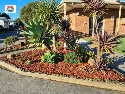 Chelsea Holiday Park - Kingaroy Accommodation 2