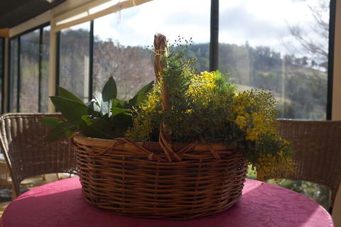 Hamlet Downs Country Accommodation - Kingaroy Accommodation 4