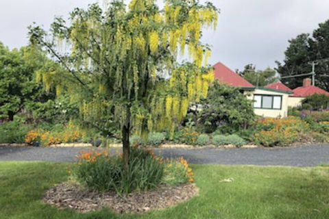 Hamlet Downs Country Accommodation - Kingaroy Accommodation 0