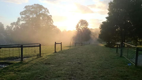 Carinya Park - Kingaroy Accommodation 2