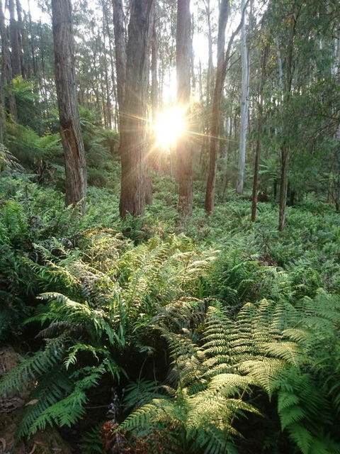Carinya Park - Kingaroy Accommodation 3