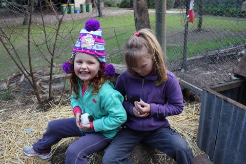 Fernleigh Farmstay & Bike Park - Kingaroy Accommodation 3