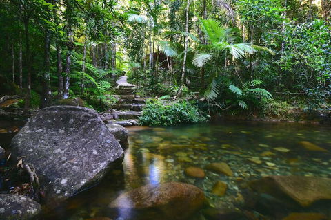 Daintree Cascades - Kingaroy Accommodation 2