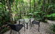 Daintree Cascades - thumb 4