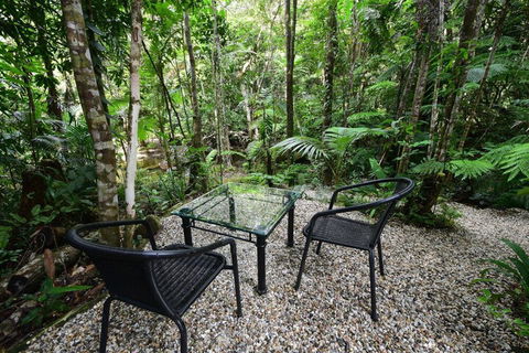 Daintree Cascades - Kingaroy Accommodation 4