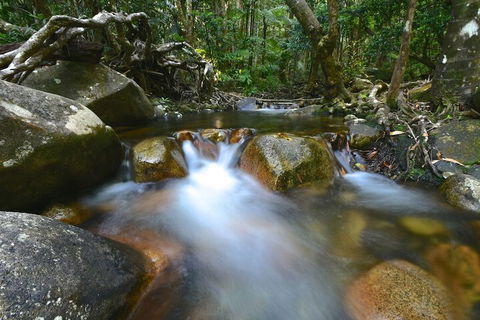 Daintree Cascades - Kingaroy Accommodation 1