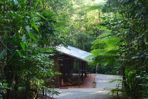 Daintree Cascades - Kingaroy Accommodation 3