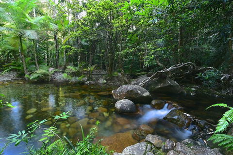 Daintree Cascades - Kingaroy Accommodation 5