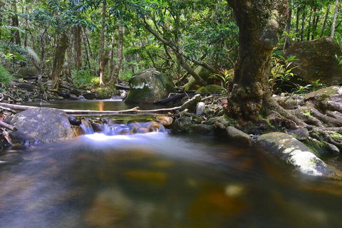 Daintree Cascades - Kingaroy Accommodation 6