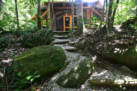 Daintree Cascades - Kingaroy Accommodation 7