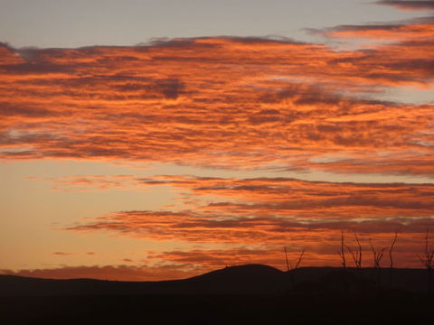Country Bakehouse Accommodation - Kingaroy Accommodation 0