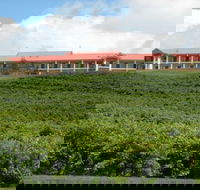 Turners Vineyard Motel and Function Centre - Kingaroy Accommodation