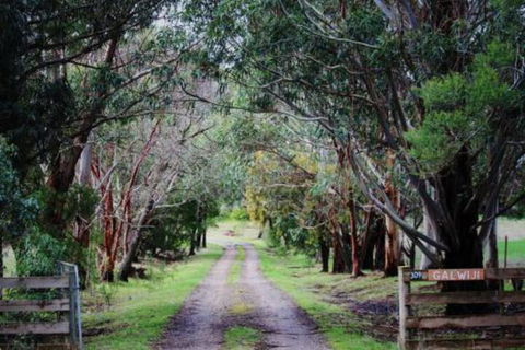 Galwiji Homestead - Kingaroy Accommodation 7