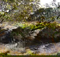 Green Gully House - Kingaroy Accommodation