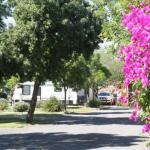 BIG 4 Hay - Kingaroy Accommodation 0