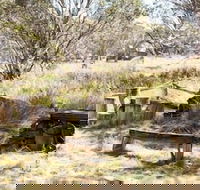Wrens View - Kingaroy Accommodation