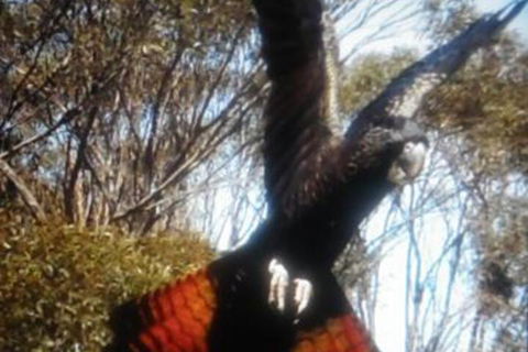 Cooinda Holiday Village - Kingaroy Accommodation 1